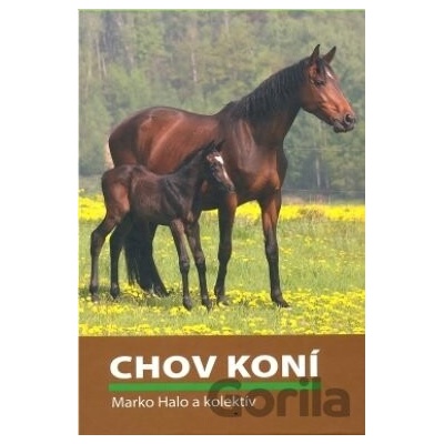 Chov koní - Marko Halo