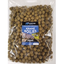 Raptor Baits Krmné boilies ČESNEK 5kg 20mm