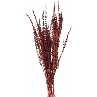 Sušené květy červené 85 cm (100 gr) – 85 cm