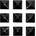 Gravity Pyramid studs