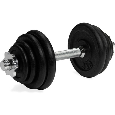 VIRTUFIT Cast Iron 1 x 15 kg
