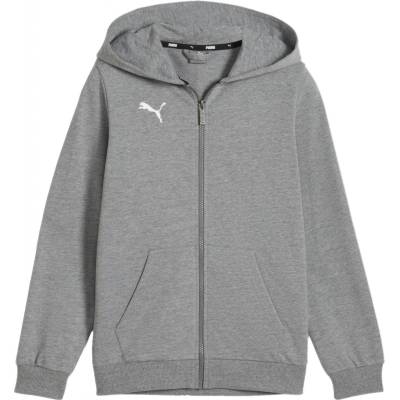 Puma teamGOAL Casuals Hoodie Kids 658596-33