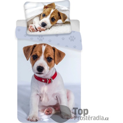 TOP bavlna povlečení Pejsek Jack Russell 140x200 70x90
