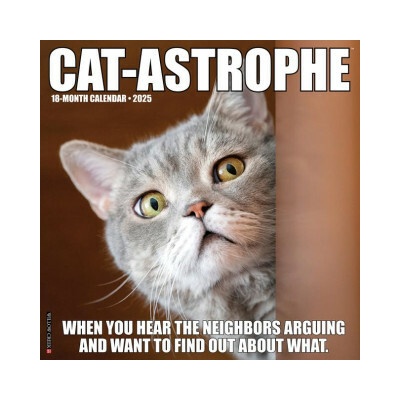 Cat-Astrophe 12 X 12 Wall 2026