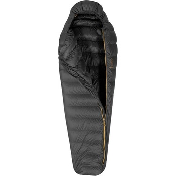 Patizon R 300