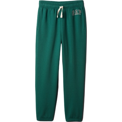 GAP V-fall fash logo m
