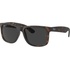 Ray-Ban RB4165 865 87