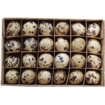 Křepelčí vejce 24ks/3cm natural