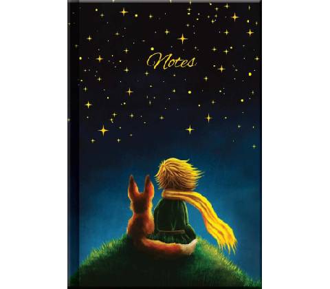 Notes LITTLE PRINCE
