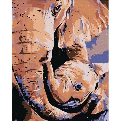 zuty Malování podle čísel Slonice a slůně 80 x 100 cm vypnuté plátno na rám