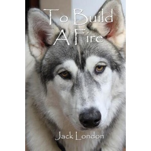 To Build A Fire | Jack London, Russell Lee (ISBN: 9781502530691)