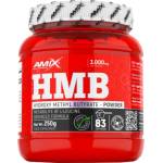 Amix Nutrition HMB Powder [250 грама]