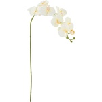 Bloomingville Изкуствено цвете Bloomingville орхидея бяло (82072093)
