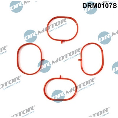 DR.MOTOR AUTOMOTIVE Sada tesnení kolena nasávacieho potrubia DRM0107S