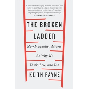 Broken Ladder (ISBN: 9781474601122)