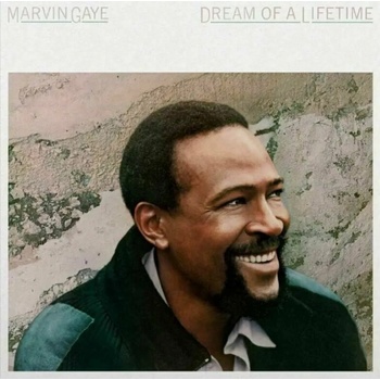Image 1 of Marvin Gaye - Dream of a Lifetime (Trans Blue Vinyl) (180g) (LP) (8719262014015)