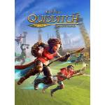 Warner Bros. Interactive Harry Potter Quidditch Champions (PC)