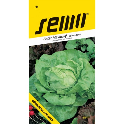 Semo Salát letní - Dětenická atrakce polní 0,6g