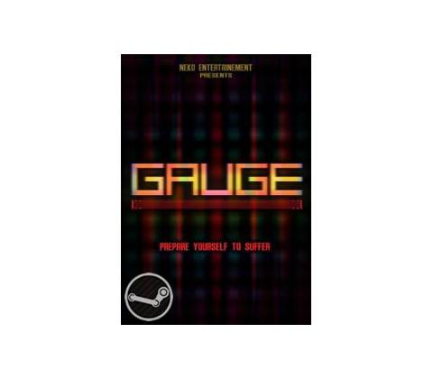 Gauge