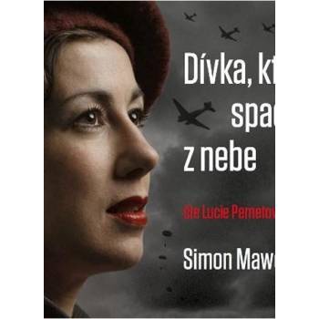 Dívka, která spadla z nebe - CDmp3 Čte Lucie Pernetová - Mawer Simon