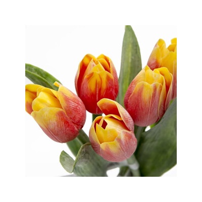 Kristian Samson Tulipán kus 40cm červeno-žltý F244-R