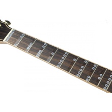 Guitto GFM01