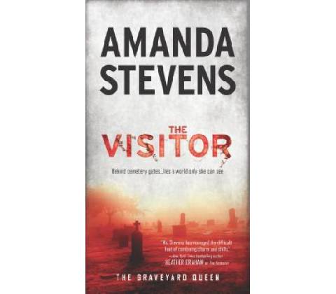 The Visitor - Amanda Stevens
