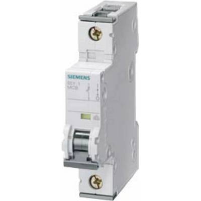 Siemens 5SY61047