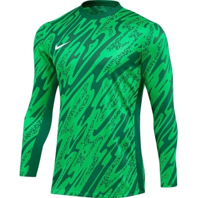 Nike Риза с дълги ръкави Nike M NK DF GARDIEN V GK JSY LS fd7474-329 Размер S