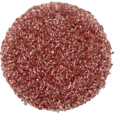 Pferd 42832006 | PSA-Discs 12 A 60
