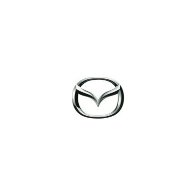 Mazda nemetalická farba prelakovateľná 1000 ml, riedenie 1:1