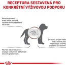Granule pro psy Royal Canin Veterinary Diet Dog Gastrointestinal Puppy 2,5 kg