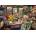 Ravensburger - Puzzle The Flower Arranger's Shed - 1 000 piese