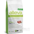 Alleva Equilibrium Sensitive Puppy All Breeds Lamb 12 kg