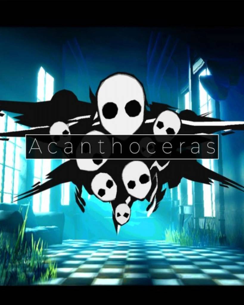 Acanthoceras