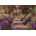 Piatnik - Puzzle Monet: Garden in Giverny - 1 000 piese