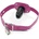 Kiotos Penis Mouth Gag Short Pink