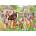 Falcon - Puzzle Davison: Riding School - 1 000 piese