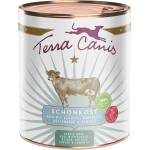 Terra Canis Gentle Meal Телешко с моркови, картофи, извара и лайка 800 г