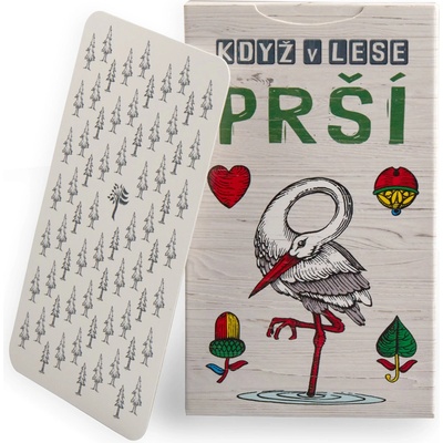 Lesní svět Když v lese Prší