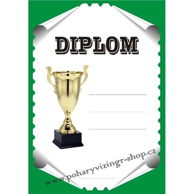 VIZINGR Diplom A4 D č.45