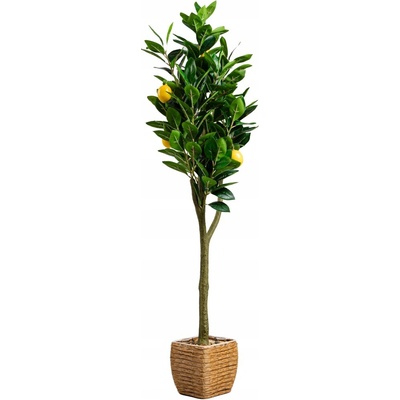 UMELÁ RASTLINA Citrónovník HOMLA 115 cm