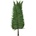 Parchemin Fern