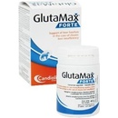 Vitamíny a doplňky stravy pro psy Glutamax forte 20 tbl
