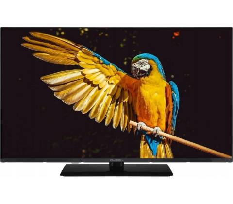 GoGEN TVF 32M340 STWEB