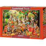 Castorland Пъзел Castorland от 3000 части - Събиране на котешкото семейство (С-300730-2)