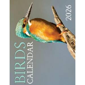 Birds Calendar 2026 | B. Patrick (2025)