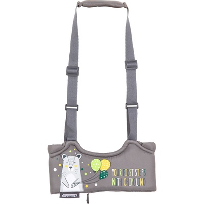 ACCESS, Chipolino Колан за прохождане"1st Steps"глетчер (KPRS02304GL)