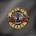 Guns N' Roses - Greatest Hits (2 LP) (180g) (602507124793)