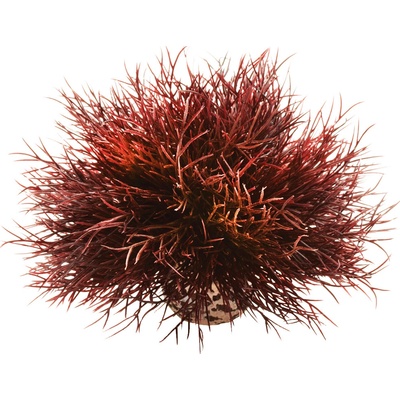 BiOrb Sea lilies karmínová 11 cm